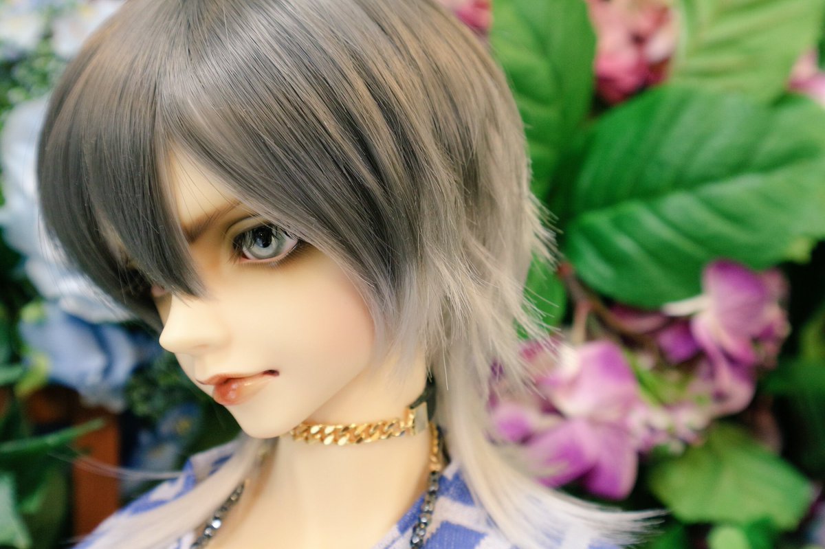 cafe_latte_doll's tweet photo. ホワイトデーの頃にひっそりとお迎えしてました。
SD17レイズナー、名前は帷凛(とばり)です。
エソラ様(@myrmeco )の白蛇アイに変えたら、意思の強そうな凛とした子になってくれました☺️❤️
凛雅(傷セシル)の兄でモデルという設定✨ https://t.co/loaWShvrkQ