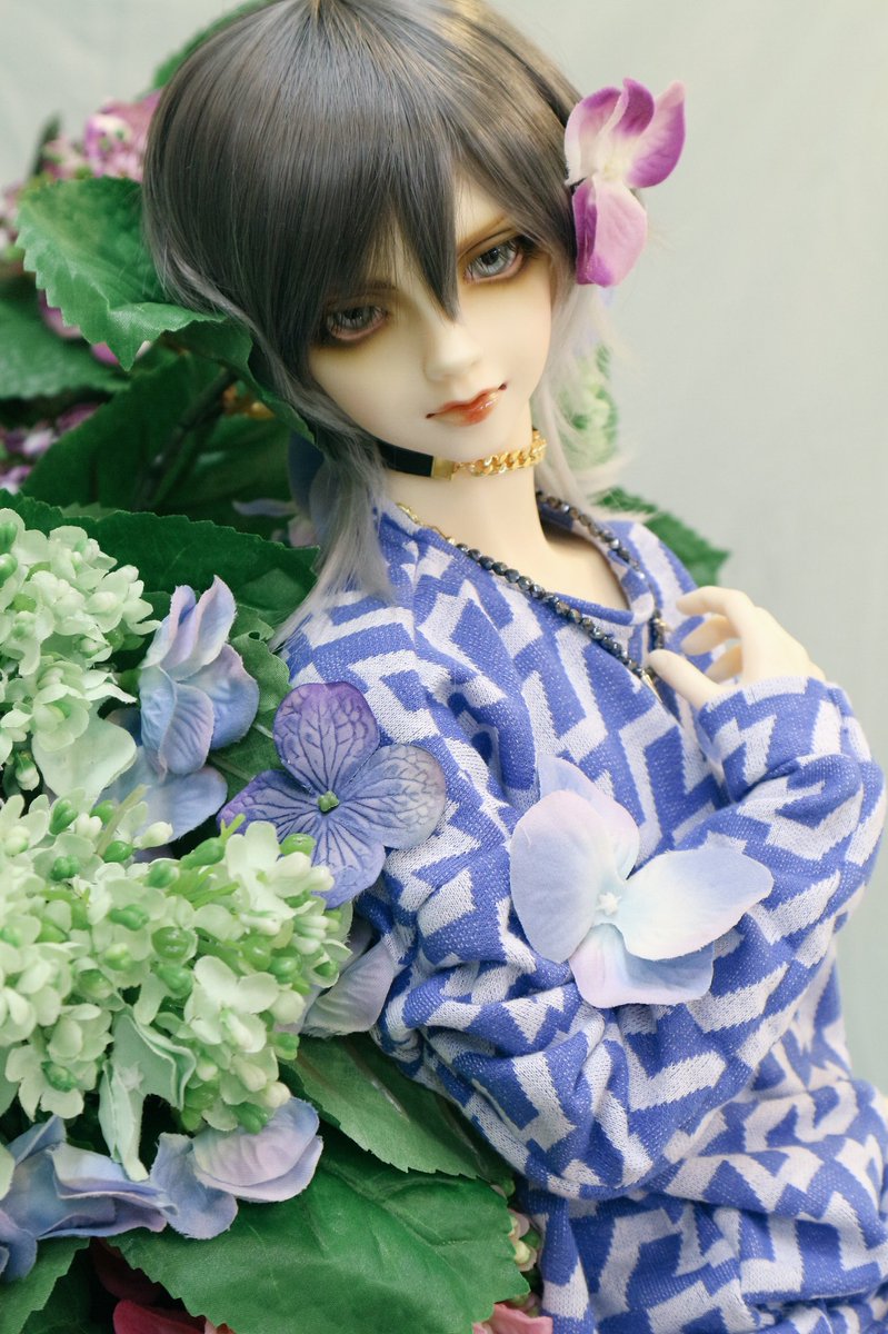 cafe_latte_doll's tweet photo. ホワイトデーの頃にひっそりとお迎えしてました。
SD17レイズナー、名前は帷凛(とばり)です。
エソラ様(@myrmeco )の白蛇アイに変えたら、意思の強そうな凛とした子になってくれました☺️❤️
凛雅(傷セシル)の兄でモデルという設定✨ https://t.co/loaWShvrkQ