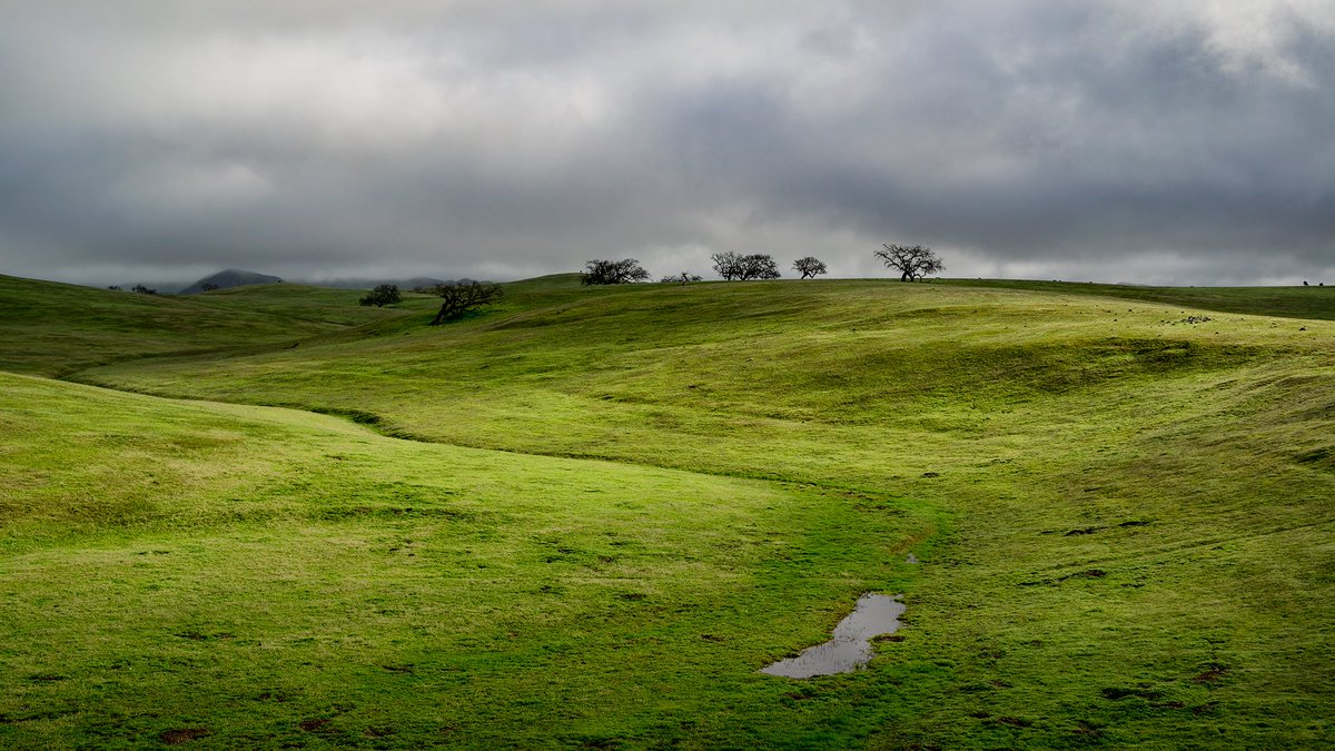 At The Beginning

#SantaYnez #California #Landscape #Photography