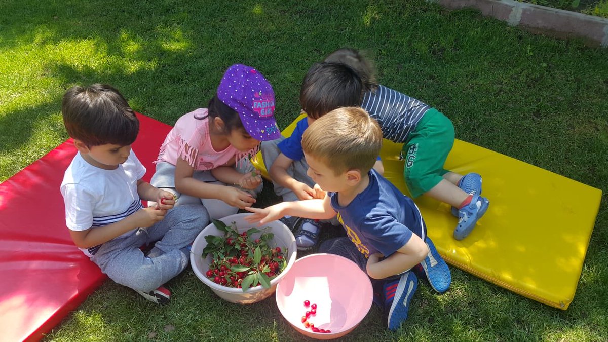 incek_ugur's tweet photo. Bahçemizden Vişneler toplandı 👍 Kendi meyve sularımızı yapmak için hazırlandı 🍒 😃 @incek_ugur @UgurOkullari https://t.co/1IYfxsRLXP