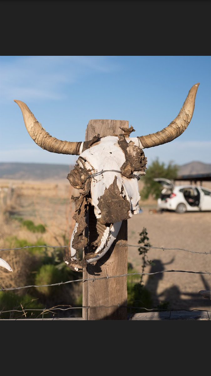 offCountryFilm's tweet image. We are out in Nevada and New Mexico continuing to tell stories of the nuclear communities! If you like our photos here, you will love our Instagram.com/OffCountry