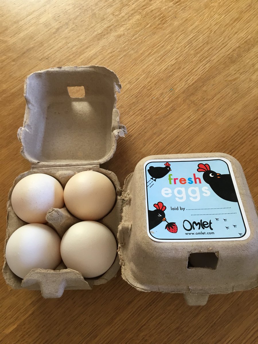 marjorieharris3's tweet image. @SuttonGirlsHigh @SuttonMums @WimbledonMums @CarshaltonMums @omlet @thisisomelet @GoodEggs @spitz_cityfarm these boys @HomefieldSchool know how to look after chickens, increase egg production and the size of them too #interestinglearning