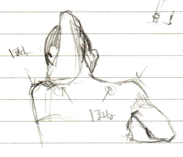 昔のノートを見てたら、肩回りと耳の裏の雑な説明がついたメモが出てきた 
