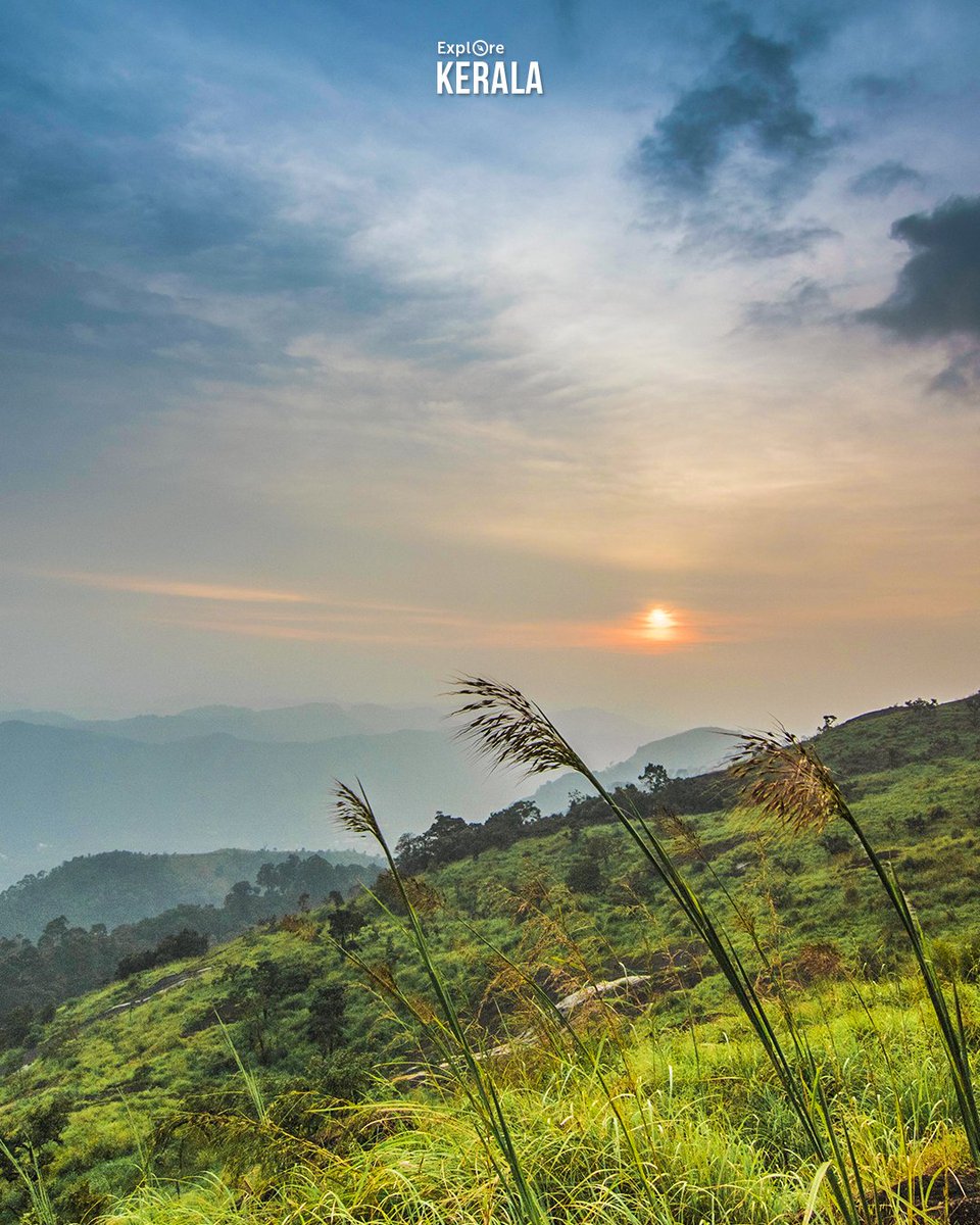 George Mathai (@zeorzzie) | Twitter