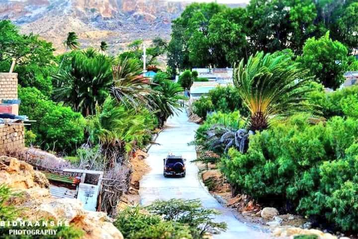 BashiirSuuley's tweet photo. #Eyl is a historic coastal district in the  northeastern  #Nugal region of #Puntland,  #Somalia 
#Go2Eyl https://t.co/8FZGewFnhp