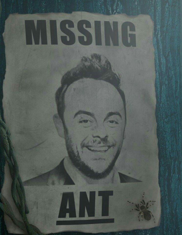 humbug83's tweet photo. This! 😦 #missingAnt #antmcpartlin https://t.co/C2elfT5X4N