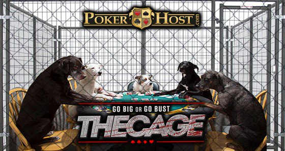 TeamPokerHost's tweet photo. A classic never grows old, the cage is where your chips can guarantee your bank-roll play the game, earn the chips to get the big bucks!!! https://t.co/q5PApi9pCu https://t.co/WP9se7vzHE