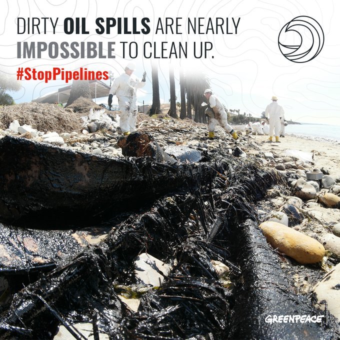 JennySelsby's tweet photo. Oil pipelines are a dirty business. There is no safe way to transport oil. Oil pipelines inevitably spill, leaving communities and environments at risk.
RT & ADD YOUR VOICE to protect water and #StopPipelines >> https://t.co/36m7Zy2krW https://t.co/bVhelBXGTl #green #ecofrie…