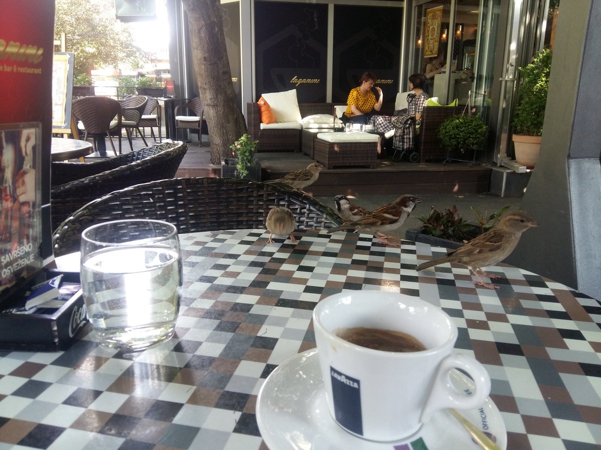 Branko65J's tweet photo. Doveo drugare na klopu :) #Laganini #vanilice #dživdžani #zemun #beograd https://t.co/syxjb3xUIo