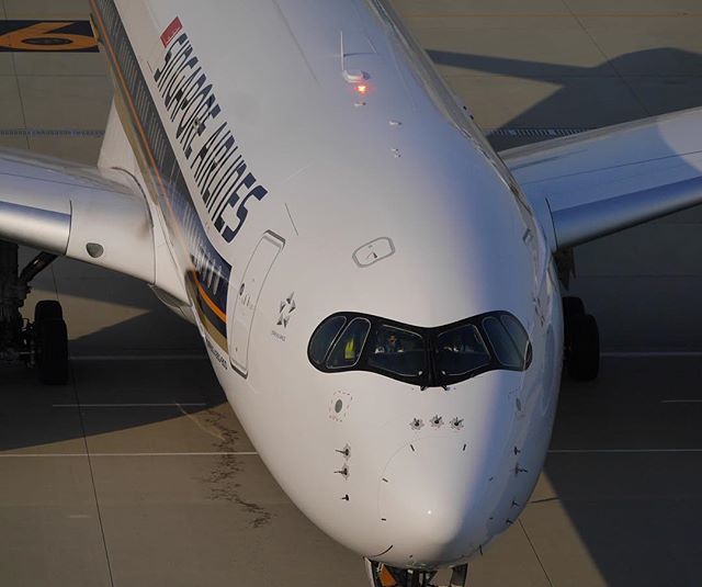 yossyB6's tweet photo. ついに、A350のお顔を正面から見せていただきました
.
#singaporeairlines
#a350
#9vsml
#hnd https://t.co/bxolZPsBEK https://t.co/PSkCFDJqxC