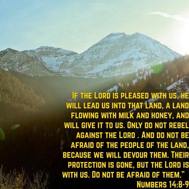 tpccincy's tweet photo. #MemoryVerseMonday https://t.co/0D79luWf2x