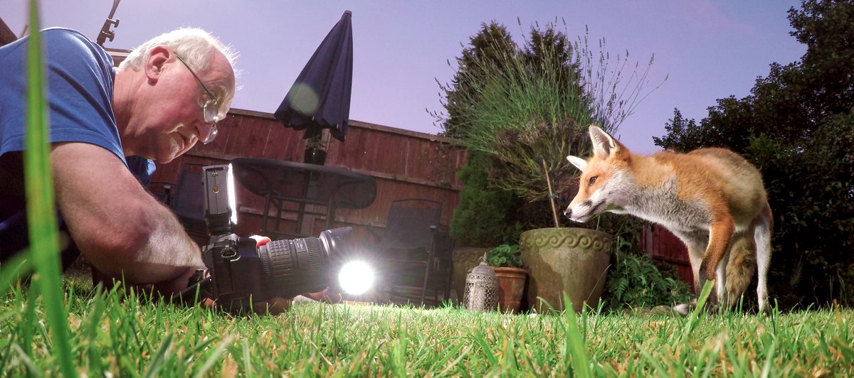 SteveDownerFilm's tweet photo. Playing fox tug of war last night &amp; getting some low angle portraits https://t.co/XsYn9Vknoz