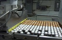ng_rfi's tweet photo. RFID technology helps manage information on food materials as they enter and move through the farm-to-fork distribution chain thereby ensuring food security #RFIDtechnology #RFIDworld #RFIDjournal #Farmers #Framersmarket #Nigerianfarmer #technology #Nigeria https://t.co/AwT6OpPbEq