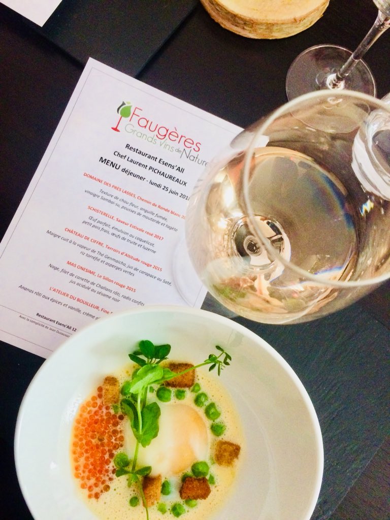 VinsAOPFaugeres's tweet image. #Faugères #Grands #Vins de #Nature : N.Caumette vient de dévoiler le #projet décennal de l’AOC auprès d’une 15aine de journalistes à Paris. #Nature, #environnement, #terroir : tendre ensemble vers un idéal. Tout est interconnecté. @GoodPlanet_ @lemonde_planete @TerredeVins