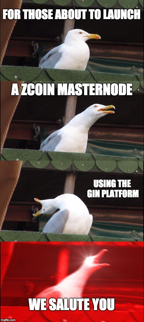 gincoin_crypto's tweet photo. We debut this week’s series of coin additions with an exquisite item: @zcoinofficial – creators of the ZeroCoin protocol and the Lyra2z mining algo, which is also used by the #GIN #blockchain. Below you can find an elegant meme to express our excitement. https://t.co/HHQGPFQ4si https://t.co/oNjowgK2Ho