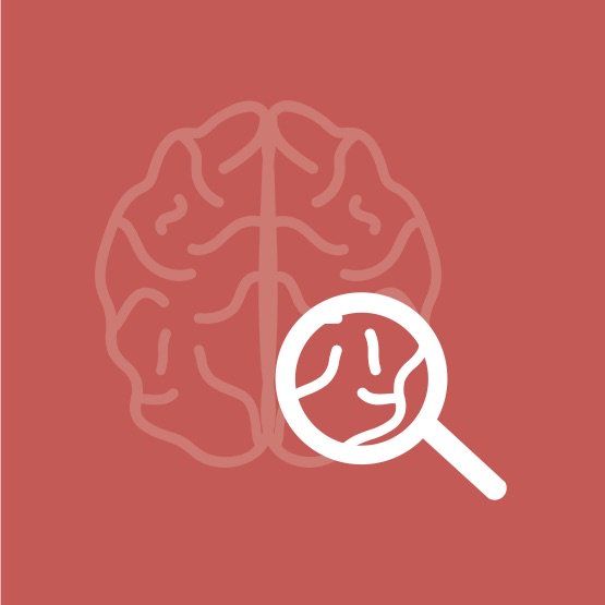 HBP_Education's tweet photo. Attention young researchers! 👩‍🔬👨‍💻 You’ve got 2 more days to apply for the #HBPSchool “The Human Brain Atlas – Neuroscientific basis, tools and applications”: https://t.co/gSZUCEDIa5 https://t.co/mjICVlmstD