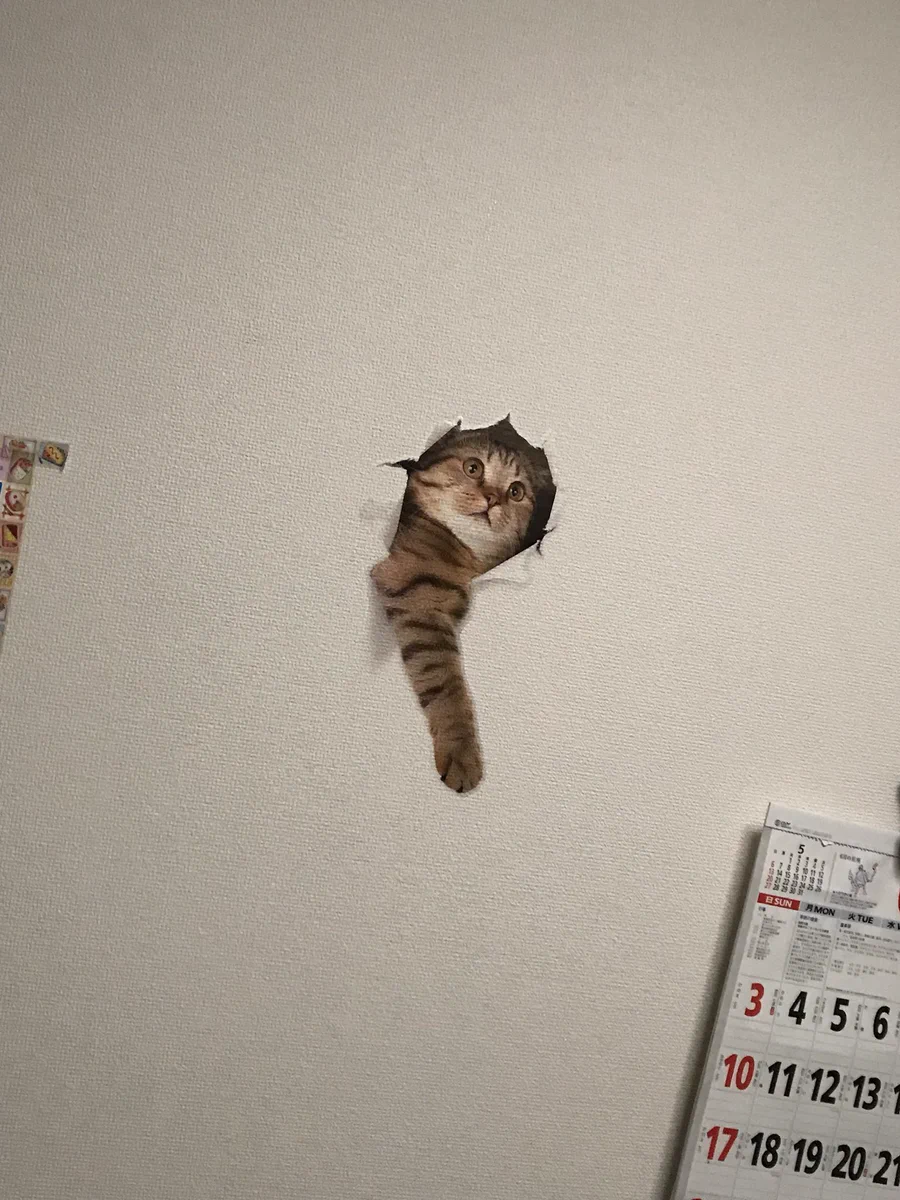これ欲しいｗ帰宅したら猫が壁を突き破ってお迎えｗｗｗ