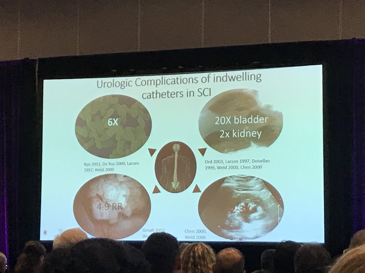 Sarah Neu tweet media