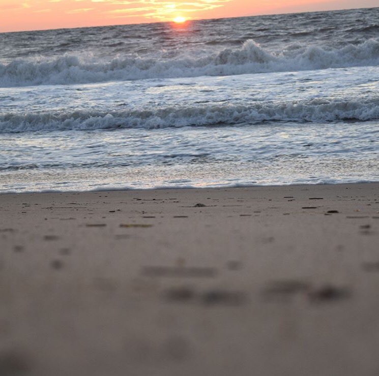 mr_Alsheimer's tweet photo. Everyday is a new day, every moment a new moment. Now is your time to rise up and bring the heat! Success never stops working. The greats rise with the sun and game plan their attack! Our kids deserve the best us!#successneverstopsworking #bringtheheat #flhornets #hornetnation https://t.co/kKMpDQ0rzp