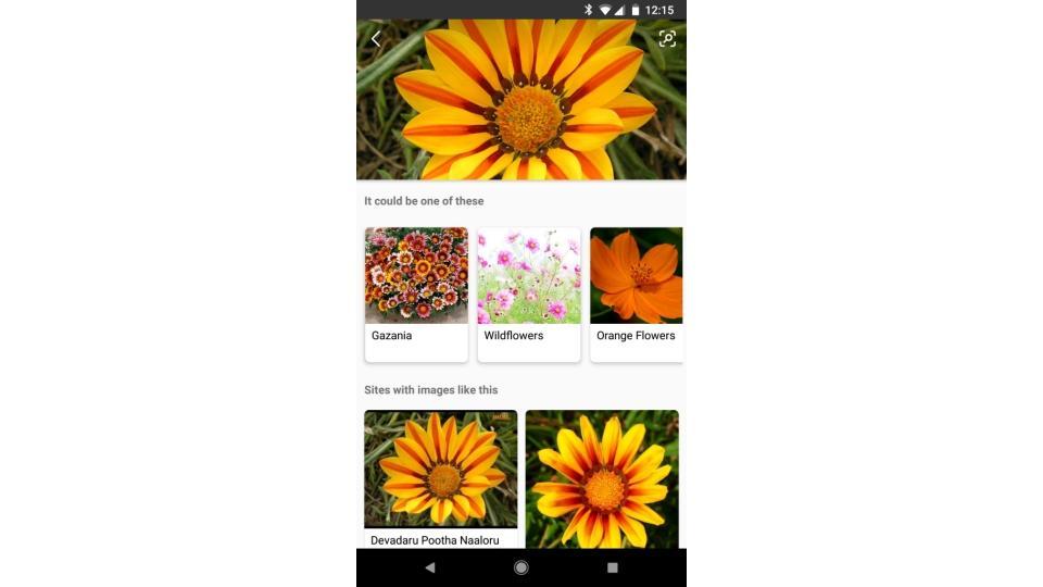 AldifyMarketing's tweet image. #Microsoft updates #BingVisualSearch with Google Lens-like AI
#AldifyMarketing