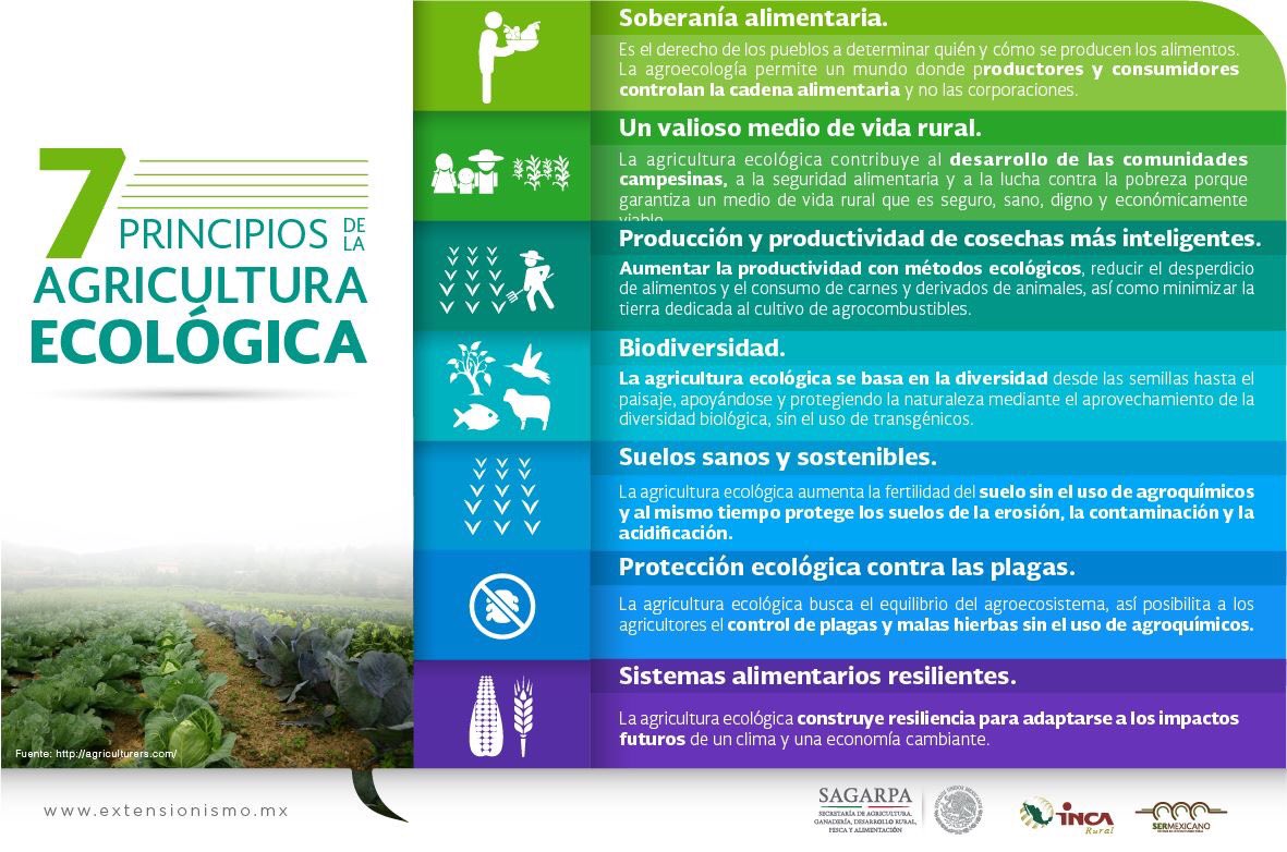 Extensionismo México (@extensionismomx) on Twitter photo La agricultura ecológica trata de respetar los ciclos naturales de cada producto, evitando así transformar de una manera radical el medio ambiente y se adapta a la capacidad de producción de la tierra permitiendo la renovación de los recursos naturales. <a href="/BaltazarxTam/">Baltazar Hinojosa O.</a> La agricultura ecológica trata de respetar los ciclos naturales de cada producto, evitando así transformar de una manera radical el medio ambiente y se adapta a la capacidad de producción de la tierra permitiendo la renovación de los recursos naturales. <a href="/BaltazarxTam/">Baltazar Hinojosa O.</a>