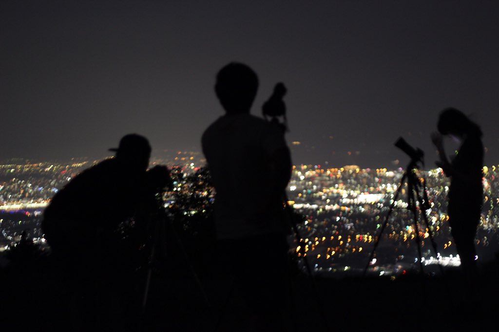 若杉山 若杉山
