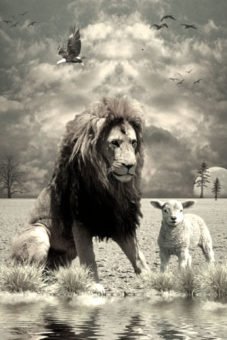 MyVerseToday1's tweet image. LightFor.Today
James 3:13-18

Who among you is wise and understanding? Let him demonstrate it by his good way of life, by actions done in the humility that grows out of wisdom. But if you harbor in your hearts 
#dailyverse #thelight #lightfortoday
buff.ly/2KioD6R