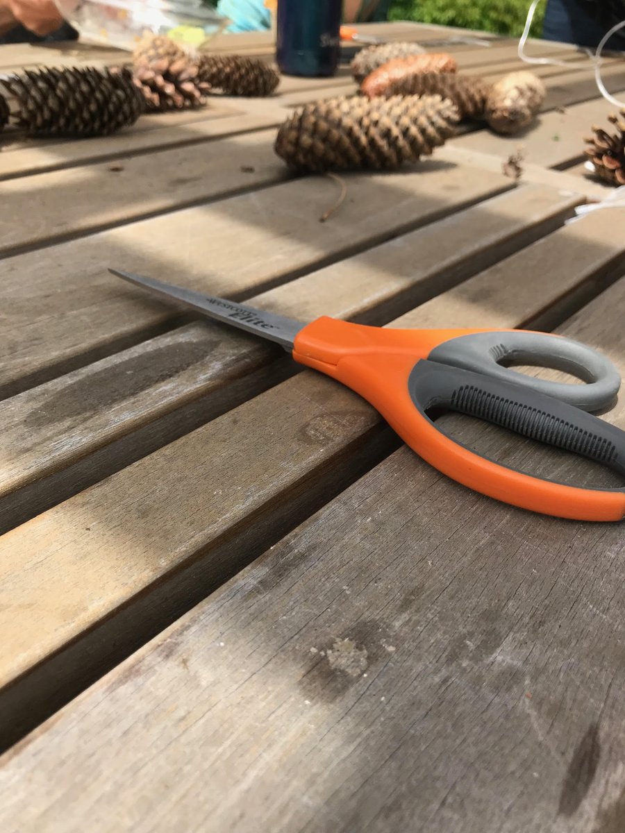 So many exciting things to look forward to at our <a href="/ComeAliveOutsid/">Come Alive Outside</a> event this Canada Day! Look for us on Main St. Picton to take part in this fun and mysterious craft we're prepping! #CanadaDay #itsawesomeoutside #ComeAliveOutside #getoutside #greenstreetschallenge