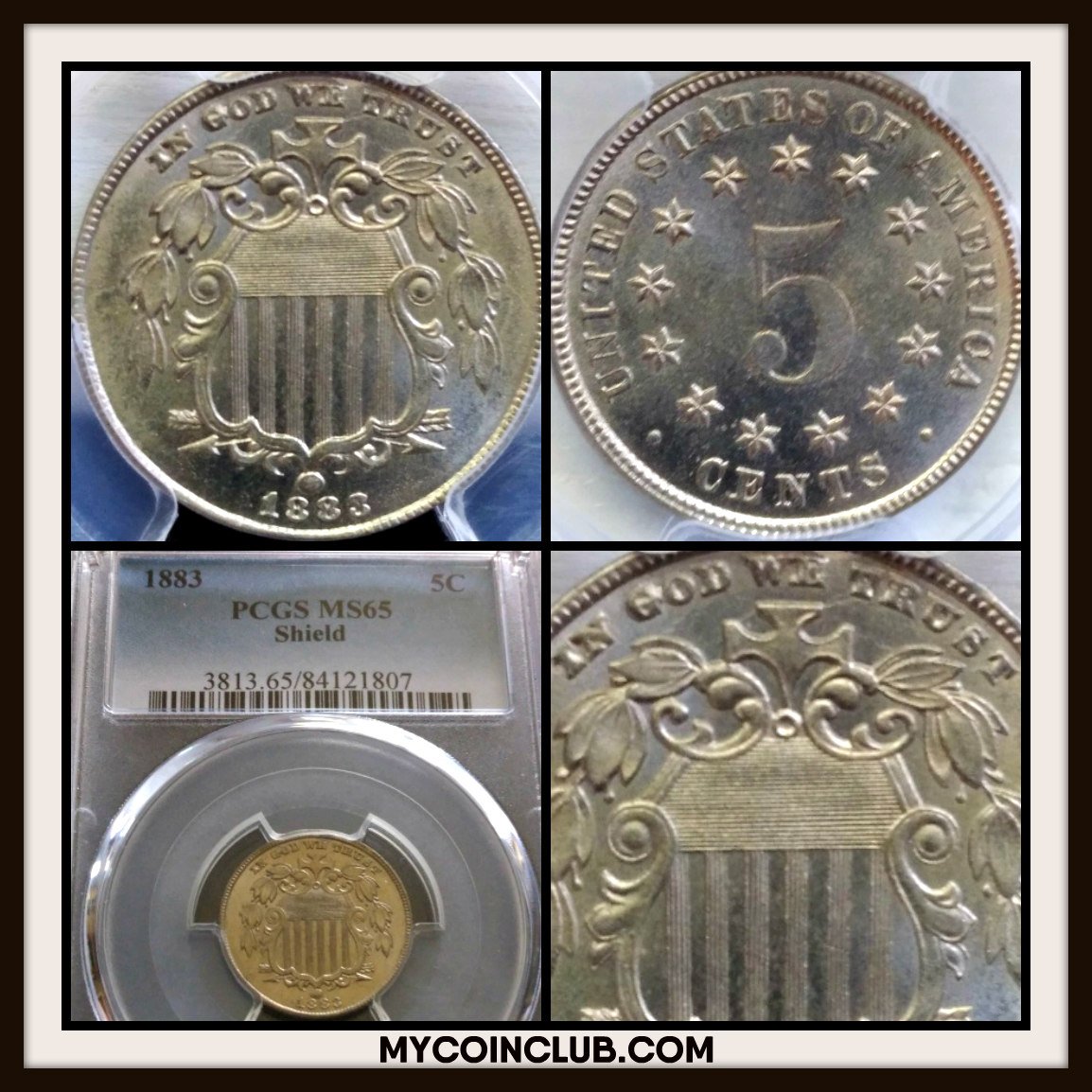 MyCoinClub's tweet image. Here is a beautiful 1883 Shield Nickel certified MS65 by @PCGScoin that was recently posted by one of our new members.  Come on over and show us your coins.  You may be our next featured post of the day!
mycoinclub.com