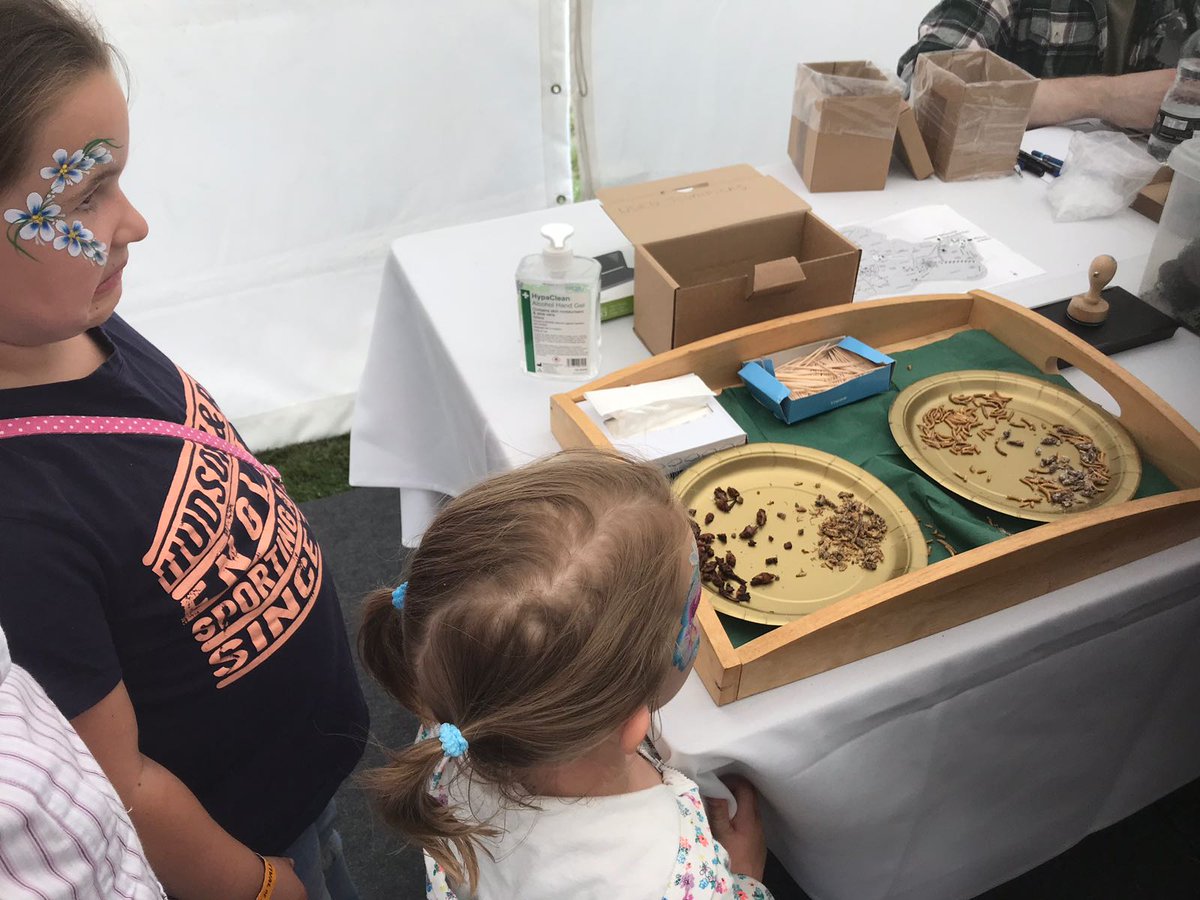 Jozeffi's tweet photo. #RothamstedFestival Ava and Edi had a fab time with the insects! https://t.co/ftjgt9WYGA