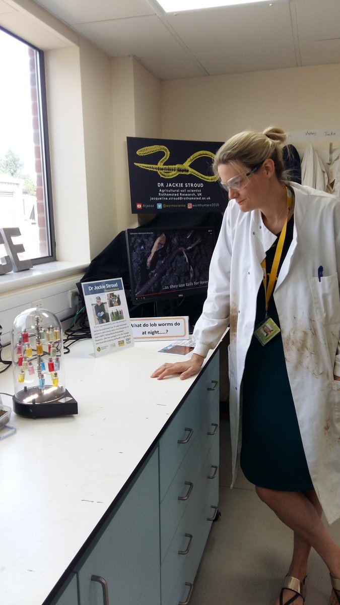 Jozeffi's tweet photo. #RothamstedFestival Great fun working with the worms over the weekend! Great display @wormscience and fab talk :D https://t.co/ISsOWUfRs1