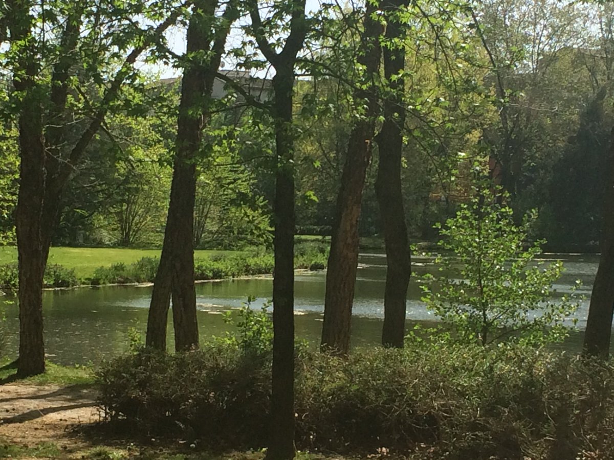 Sénioriales <a href="/SenToulouse/">Senioriales Toulouse Canal Du Midi</a> proche de parc #JardinJaponais et balades #Canaldumidi