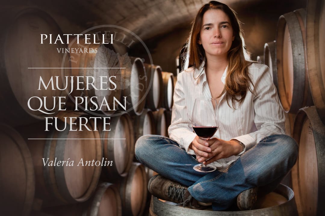 Piattelli Vineyards tweet media