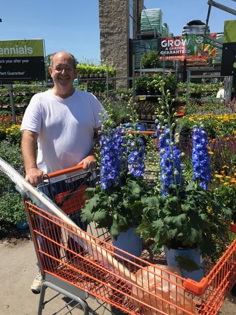 Delphiniums giving everyone the blues! Great gardening day at Home Depot Manahawkin! Jersey Fresh perennial delivery, come check us out <a href="/HomeDepot/">The Home Depot</a> in your neighborhood. <a href="/ChristineTHD/">Christine Sweeney</a> <a href="/nyyroro/">Ro Rodriguez</a> <a href="/CoreyLiliston/">Corey Lilliston</a>