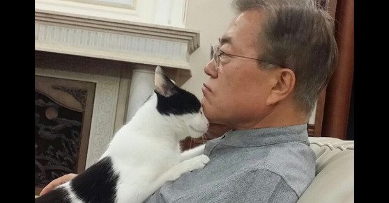 상한 오렌지 먹고 정신 나간 것들이 극문의 배후를 궁금해하는데, 극문의 배후는 비선실세 찡찡이입니다. ㅋㅋㅋㅋ