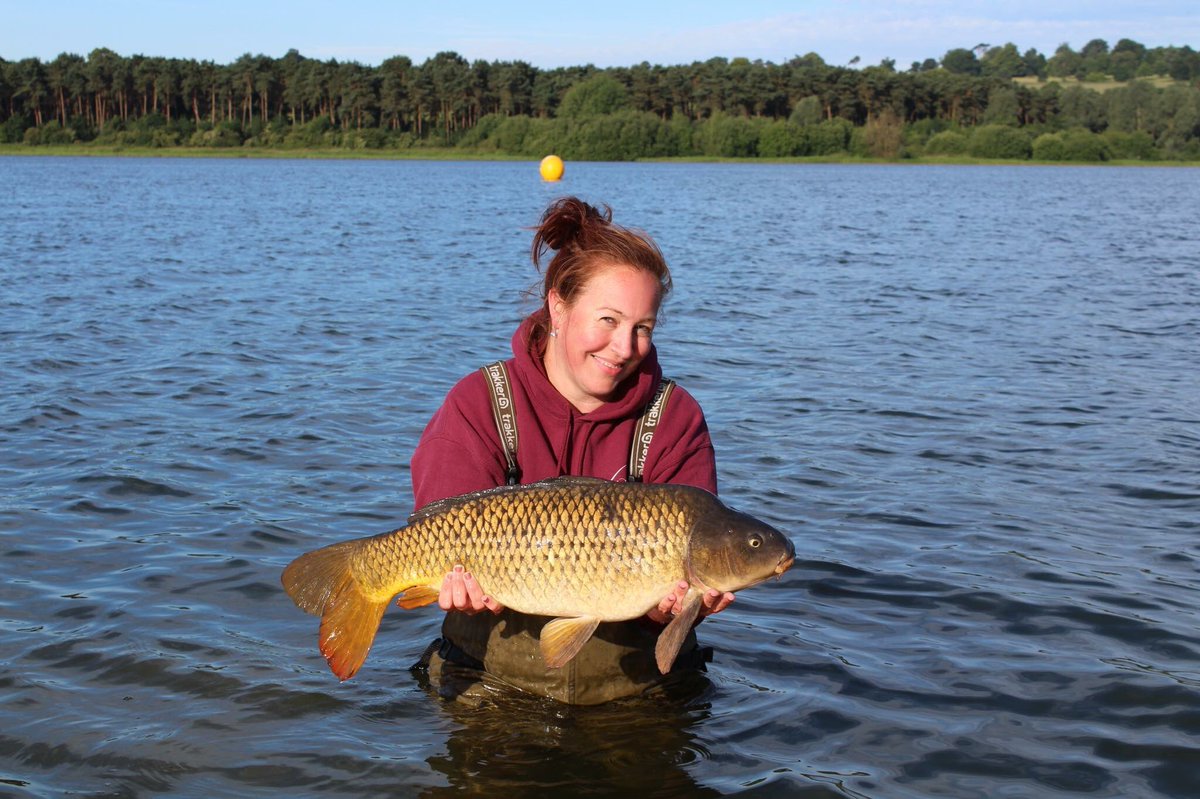 AbilityTackle's tweet photo. Consultant Dee Mason-Mcmanhon 
With these 2 stunning commons from her new water and her first trip she was using a simple KD’s with Ability Tackle size 6 Curve hooks.
#abilitytackle #Abilityladies 
#abilitycurve #carp #carpfishing #carpfishinglady #carpfishinguk https://t.co/FF62gCqyjp