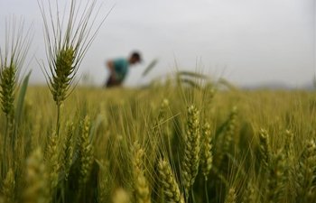 Acclime China tweet media