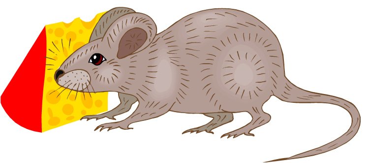 LifeSciTRC's tweet photo. "Even a small selective advantage can lead to a rapid evolution of the population." Check out this Pocket Mouse Evolution Simulation! https://t.co/7R0fdVwRca https://t.co/skfaMsOG51