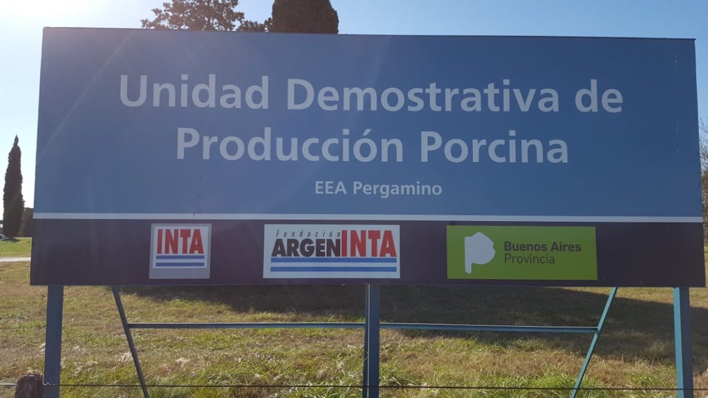 AgrarioPBA's tweet photo. #Pergamino. Recorrida por la Unidad Demostrativa de Producción Porcina en @intaargentina Productores de la región se interiorizan sobre nuevas tecnologías #MeGaBa #Ganadería #Porcinos https://t.co/cbZhlt6O0Q