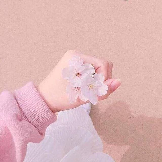 น้องไข่aesthetic tweet media