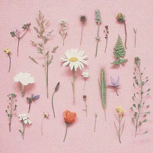 น้องไข่aesthetic tweet media