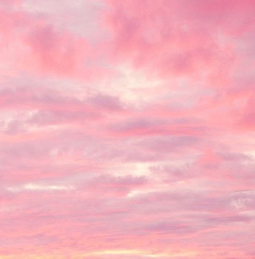 น้องไข่aesthetic tweet media