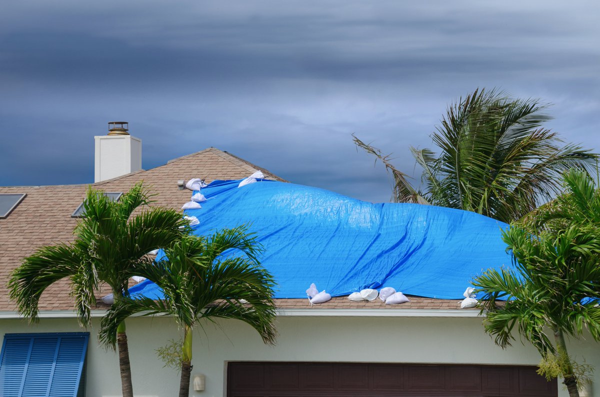 NovamarIns's tweet photo. Hurricane season is here. Be ready, and call the #NovamarInsuranceMexico expert consultants today. We're committed to helping you.
Get the FACTS https://t.co/mN6tJgibAW or call Novamar Insurance Mexico MX 01 800 627 4637
#HurricaneSeason #MexicoInsurance https://t.co/q0SjDU5cAA