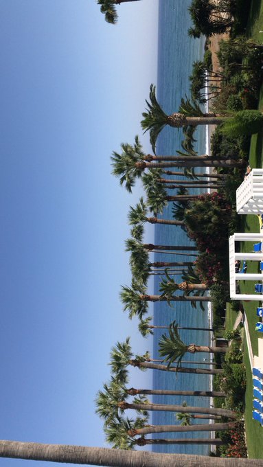 Finally in Spain 😁 https://t.co/zb7l2nrL9A<a href="/tag/barbados"class="tags"><span>#barbados</span></a><a href="/tag/heaven"class="tags"><span>#heaven</span></a><a href="/tag/banksbeer"class="tags"><span>#banksbeer</span></a>