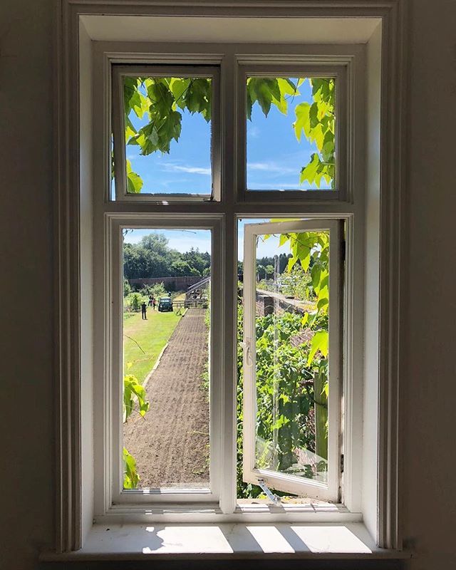 LordWhitney's tweet image. We picked a good week for an install here. Not a bad view at all @harewoodhouse #seedsofhope #installweek #thewalledgarden #mrleathleysoffice #bts ift.tt/2K51hpv