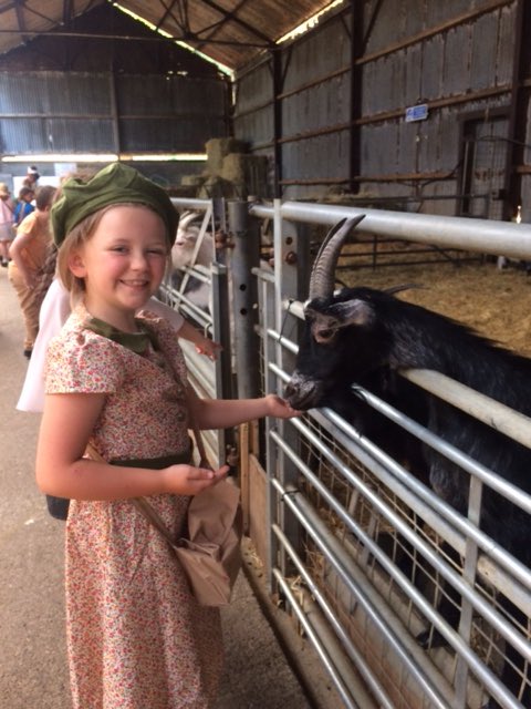 Tending to the horses/ceffylau 🐴 feeding the lamb/oen 🐑 & the goat/gafr 🐐 @FoelFarmPark