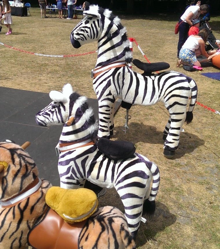 There will be magical zebras as well as magical ponies to ride on in Park Street on Sunday. Come along to CamFest 2018 and have a go! #camfest2018 #camberley #magicalzebras