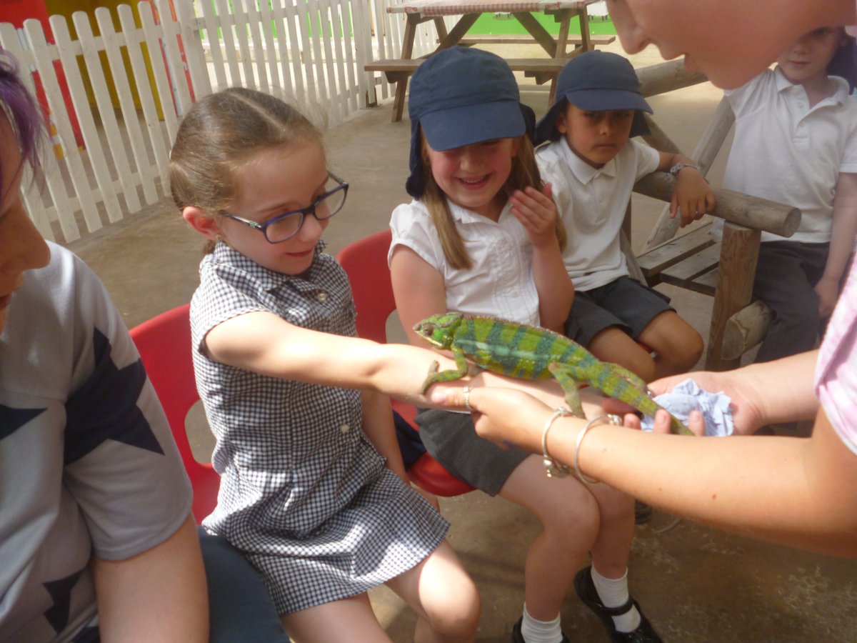 We had a wonderful day today! @balladenschool <a href="/Cockfields_Farm/">Cockfields Farm Park</a>