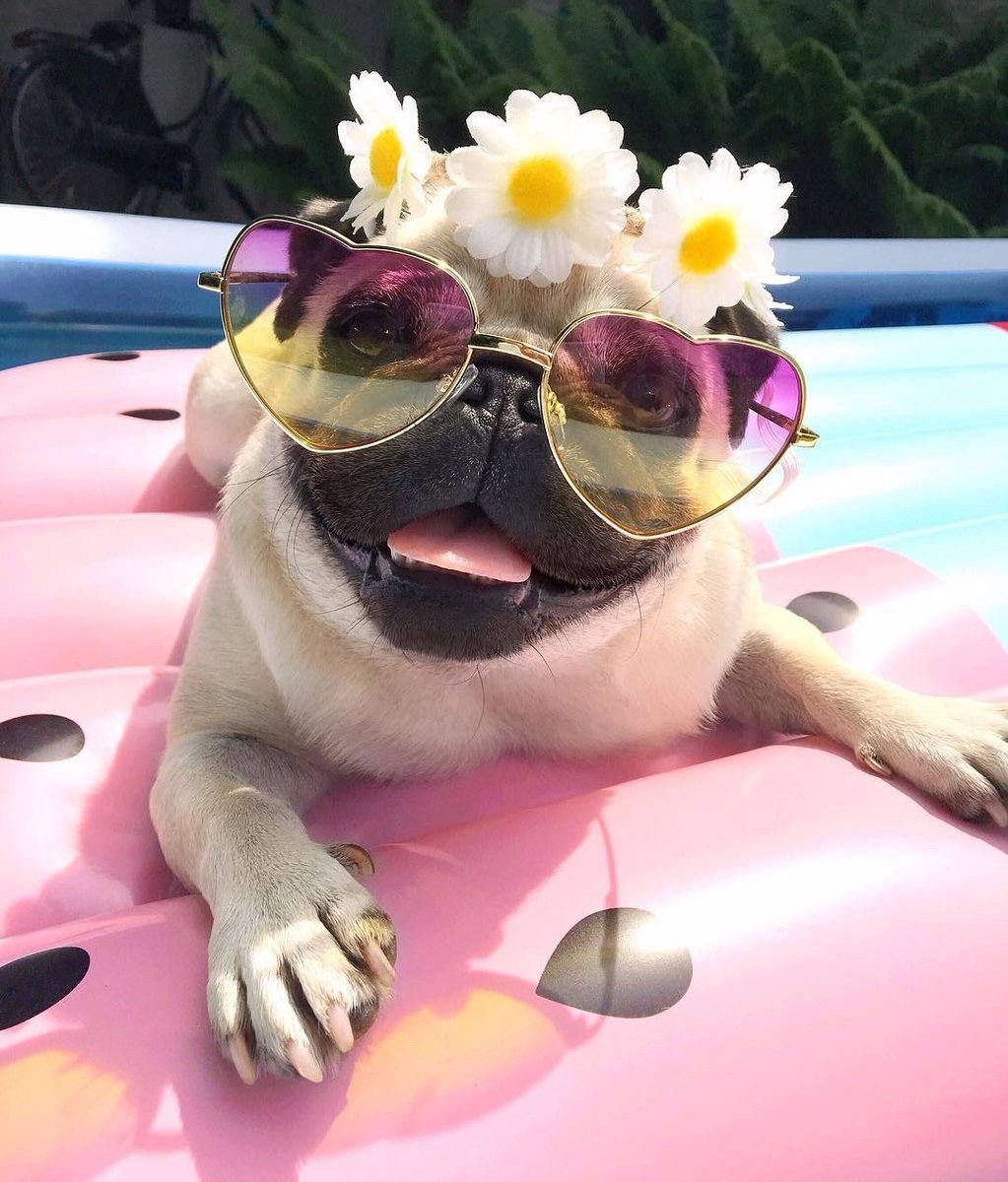 Even if you aren’t going to any music festivals this summer, who said you can’t embrace festival fashion? Let this cutie be your #fashioninspo for the rest of the week ✨🌸