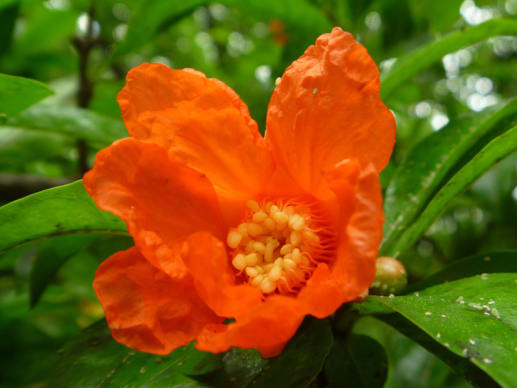 See Blumen87 S Tweet Twitter